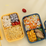Lunch Box with Dividers and Handle