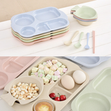 Wheat Straw Dishes 5pcs Set - Reusable Straw and Metal Straw