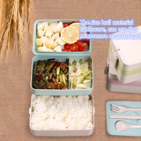 Wheat Straw Lunch Box