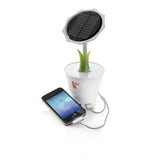 Solar Sunflower 2500mAh, White/Green