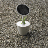 Solar Sunflower 2500mAh, White/Green